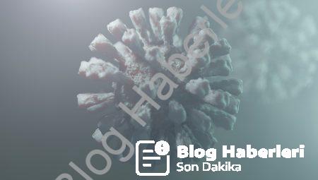 Biyofizik: Biyoloji ve fizik arasındaki sınır nedir?