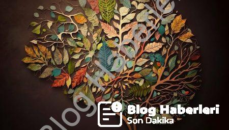 Nöroestetik: Sanat ve Beynin İncelikli Dünyası