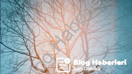 Eşsiz Nativity Scene SVG Ürünleriyle Ev Dekorasyonunda Öne Çıkın