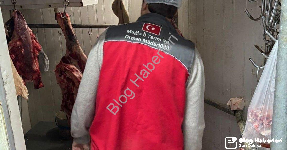 "Menteşe'de Gıda Güvenliği İçin Dev İşbirliği: Kasaplar Mercek Altında" başlıklı haber için fotoreal