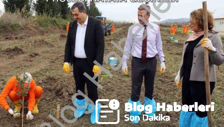 Dalaman Açık Cezaevi’nde Sakız Ağacı Projesi Hayata Geçirildi