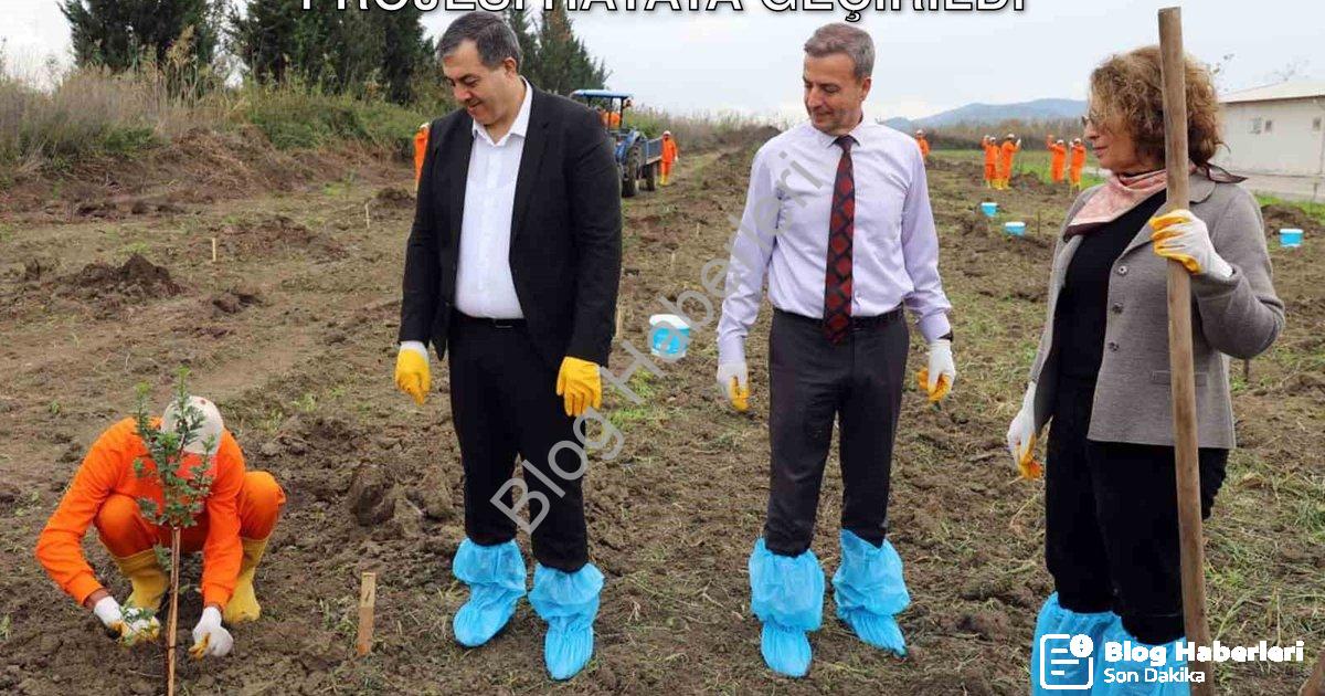 "Dalaman Açık Cezaevi'nde Sakız Ağacı Projesi Hayata Geçirildi" başlıklı haber için fotorealistik, p