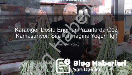 Karaciğer Dostu Enginar Pazarlarda Göz Kamaştırıyor: Şifa Kaynağına Yoğun İlgi!