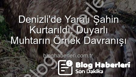 Denizli’de Yaralı Şahin Kurtarıldı: Duyarlı Muhtarın Örnek Davranışı