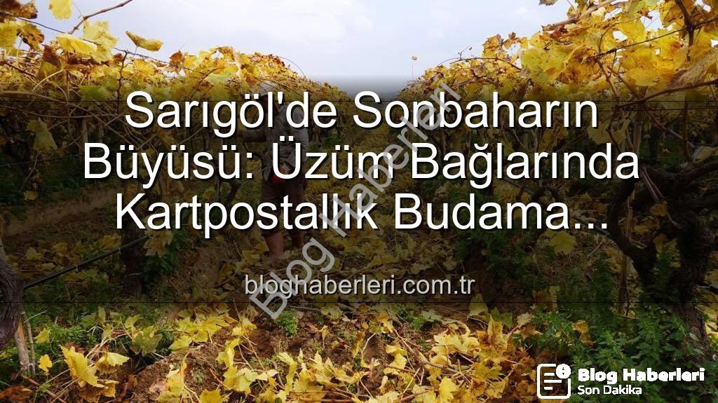 Sarıgöl üzüm bağları - Sarıgöl'de Sonbaharın Büyüsü: Üzüm Bağlarında Kartpostallık Budama Manzaraları