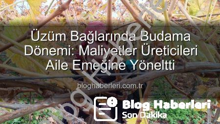 Üzüm Bağlarında Budama Dönemi: Maliyetler Üreticileri Aile Emeğine Yöneltti