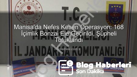 Manisa’da Uçuşa Yasak Uyuşturucu Operasyonu: 168 İçimlik Bonzai Ele Geçirildi, Şüpheli Tutuklandı!