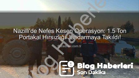 Nazilli’de Nefes Kesen Operasyon: 1,5 Ton Portakal Hırsızlığı Jandarmaya Takıldı!