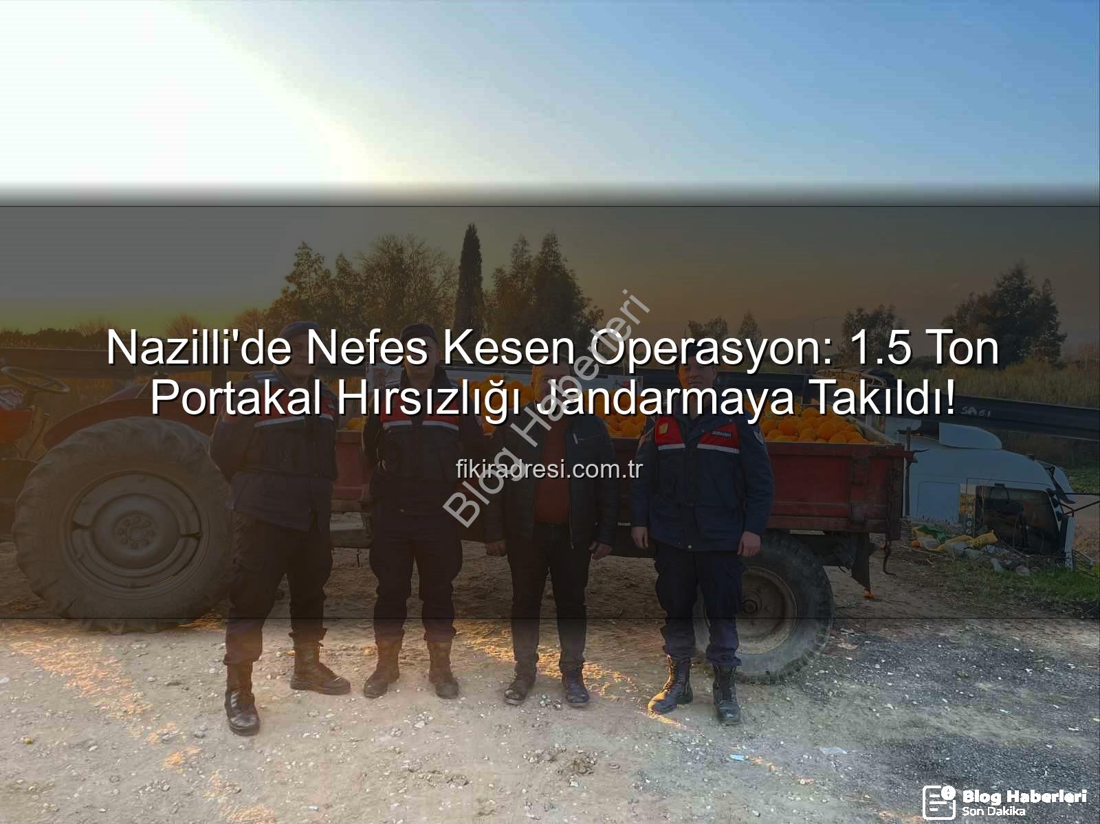 portakal hırsızlığı - Nazilli'de Nefes Kesen Operasyon: 1,5 Ton Portakal Hırsızlığı Jandarmaya Takıldı!