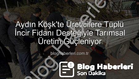 Aydın Köşk’te Üreticilere Tüplü İncir Fidanı Desteğiyle Tarımsal Üretim Güçleniyor