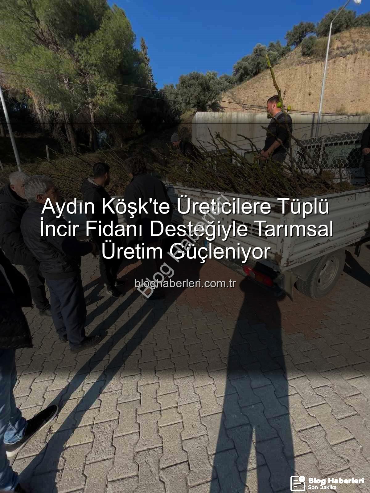 tüplü incir fidanı - Aydın Köşk'te Üreticilere Tüplü İncir Fidanı Desteğiyle Tarımsal Üretim Güçleniyor