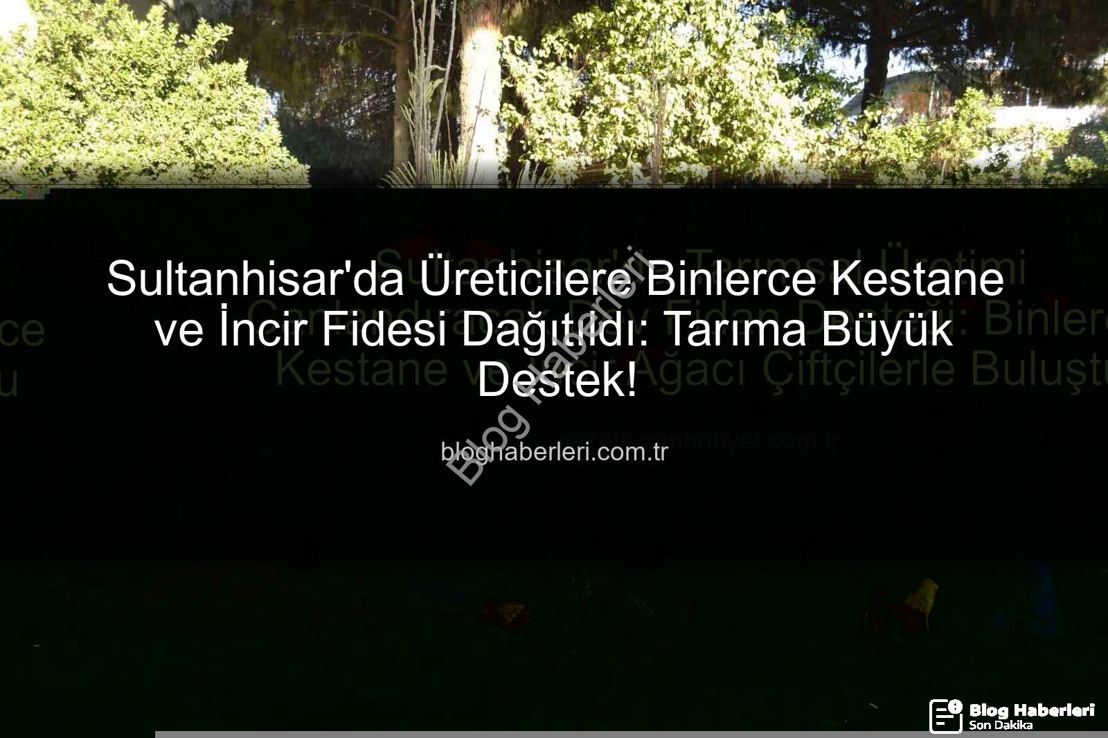 kestane incir fidesi - Sultanhisar'da Üreticilere Binlerce Kestane ve İncir Fidesi Dağıtıldı: Tarıma Büyük Destek!