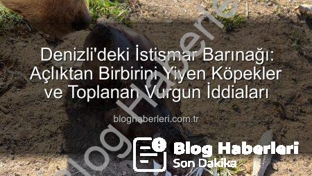 Denizli’deki İstismar Barınağı: Açlıktan Birbirini Yiyen Köpekler ve Toplanan Vurgun İddiaları