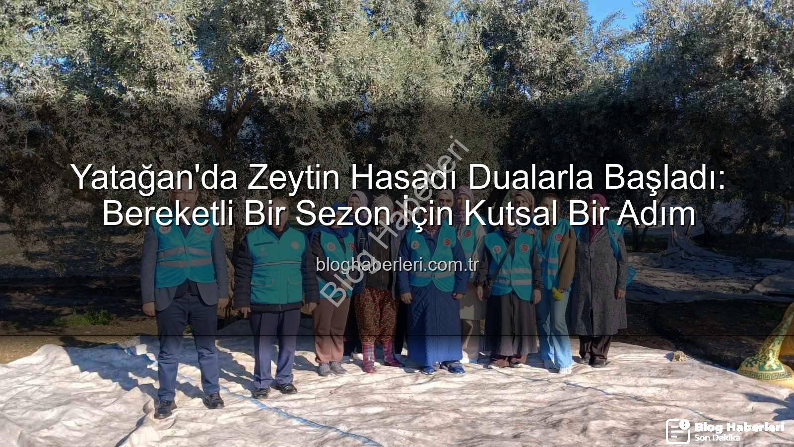 Yatağan zeytin hasadı - Yatağan'da Zeytin Hasadı Dualarla Başladı: Bereketli Bir Sezon İçin Kutsal Bir Adım