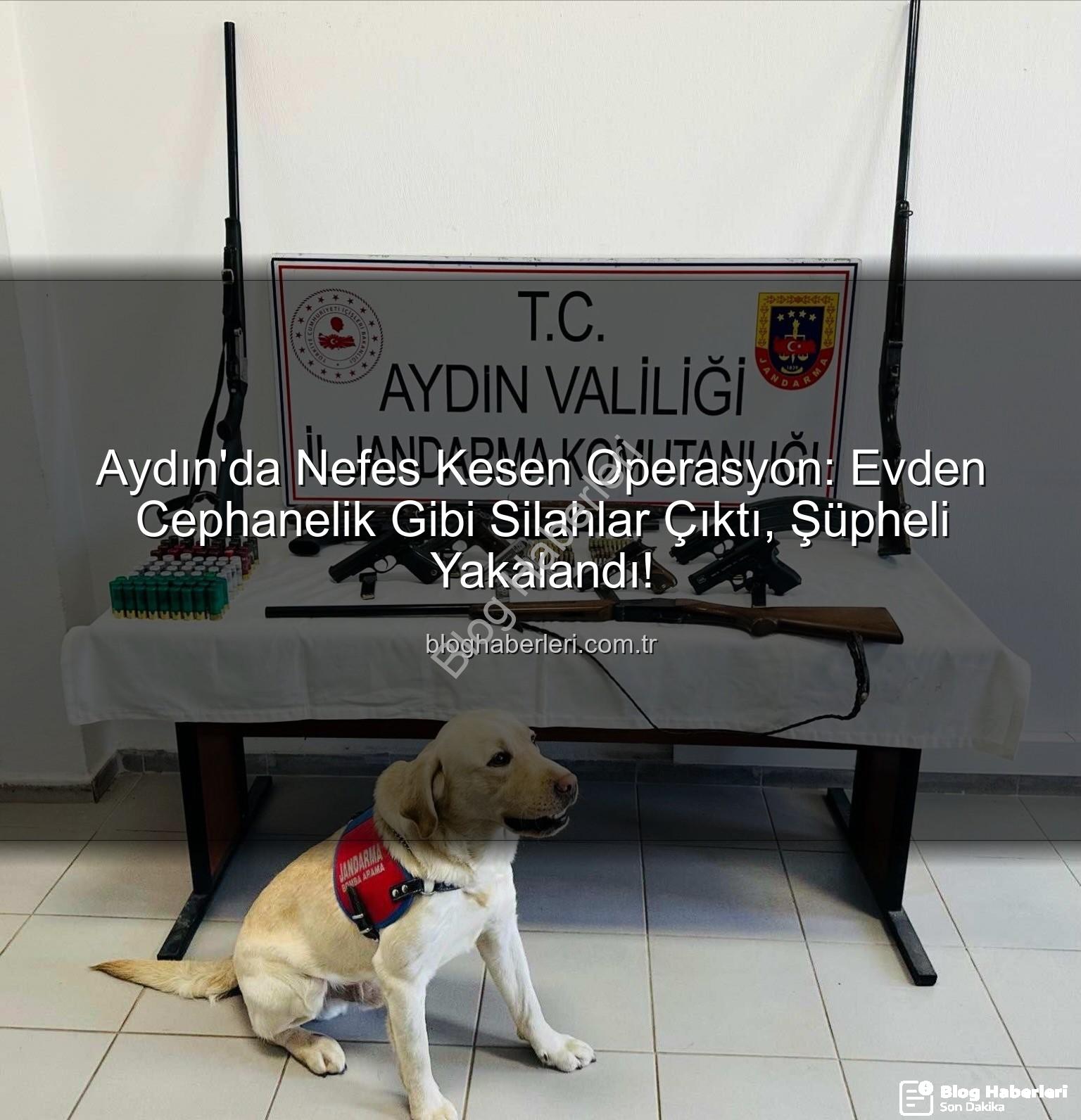 ruhsatsız silah - Aydın'da Nefes Kesen Operasyon: Evden Cephanelik Gibi Silahlar Çıktı, Şüpheli Yakalandı!