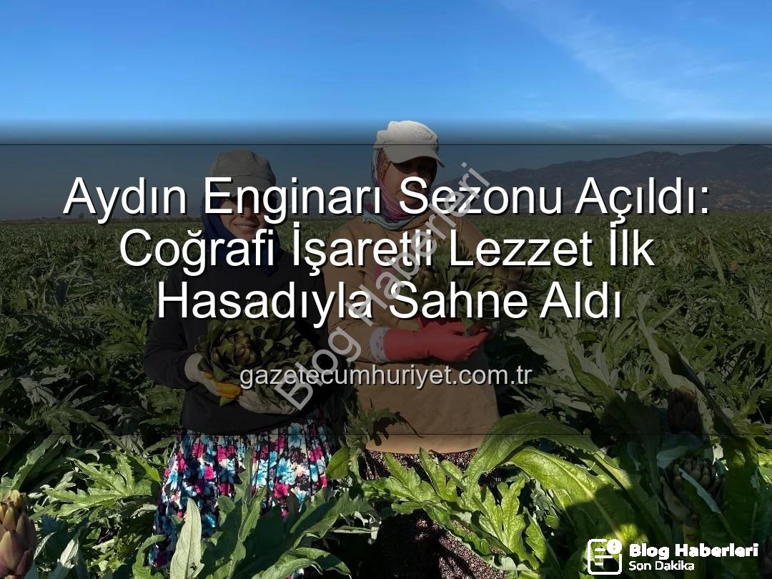 Aydın Enginarı - Aydın Enginarı'nda İlk Hasat Heyecanı: Coğrafi İşaretli Lezzet Tarlada Buluştu