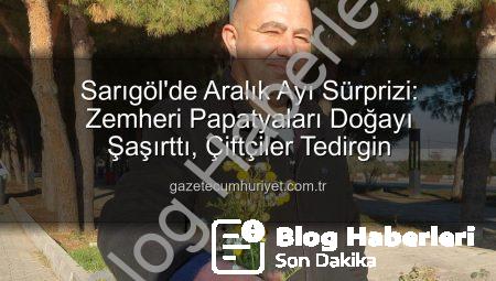 Sarıgöl’de Beklenmedik Görüntü: Zemheri Papatyaları ‘Yalancı Bahar’ı Müjdeliyor